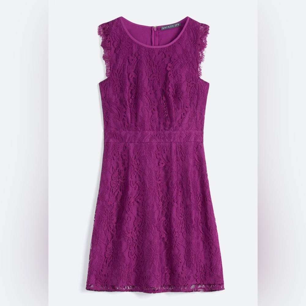 BRIXON IVY Medina Stretch Lace Dress